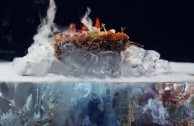 Духовые шкафы Диалог Miele (Dialog Oven)