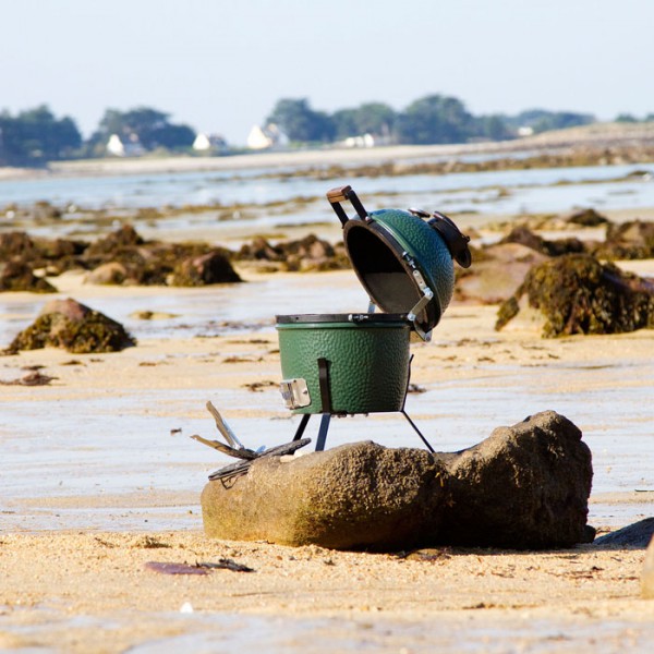 Гриль Big Green Egg Mini (preview 6)